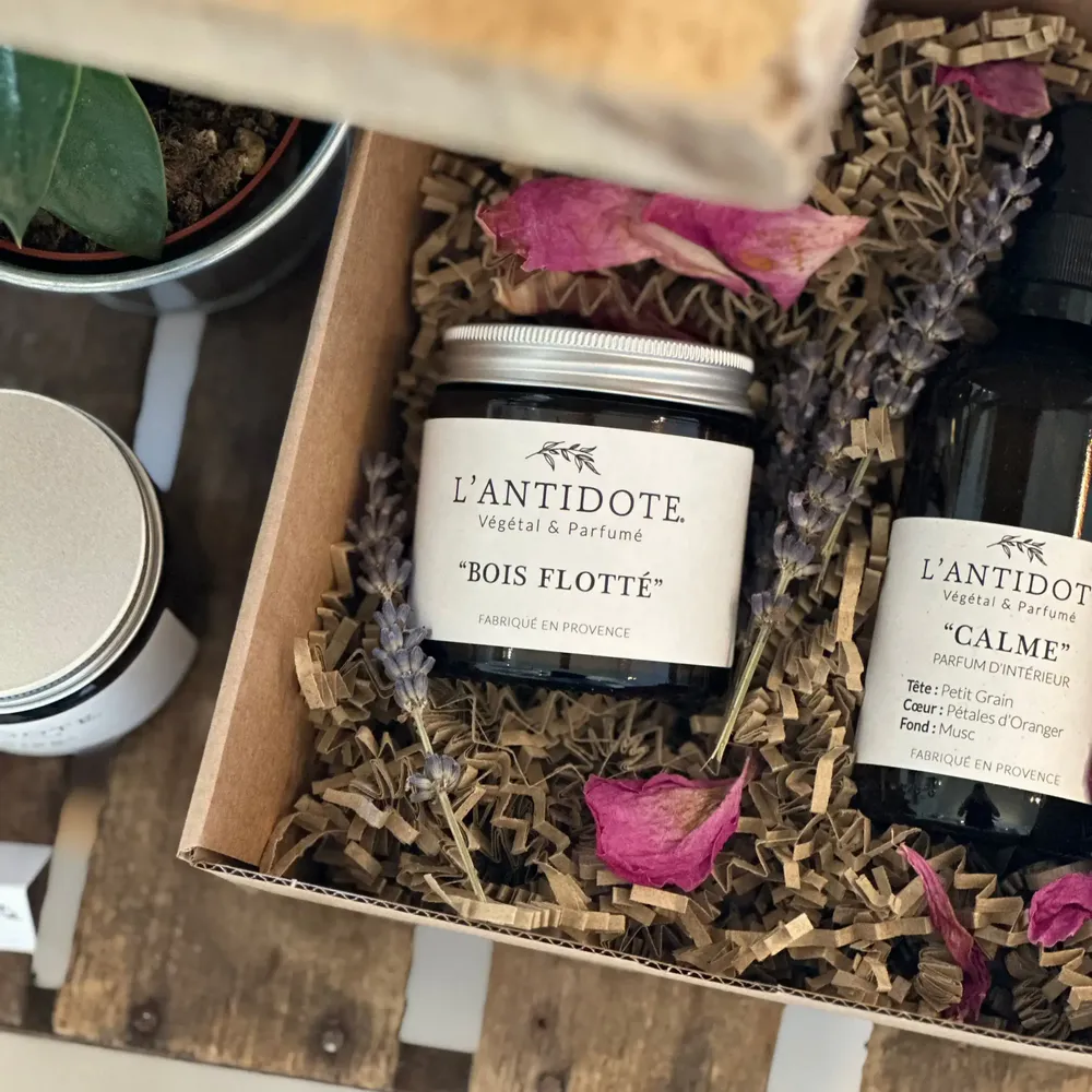 Candles - DRIFTWOOD - L'ANTIDOTE