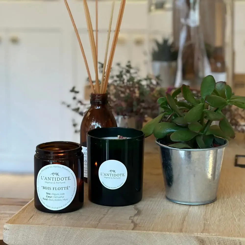 Candles - DRIFTWOOD - L'ANTIDOTE