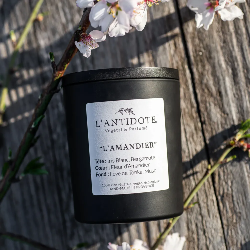 Bougies - L'AMANDIER - L'ANTIDOTE