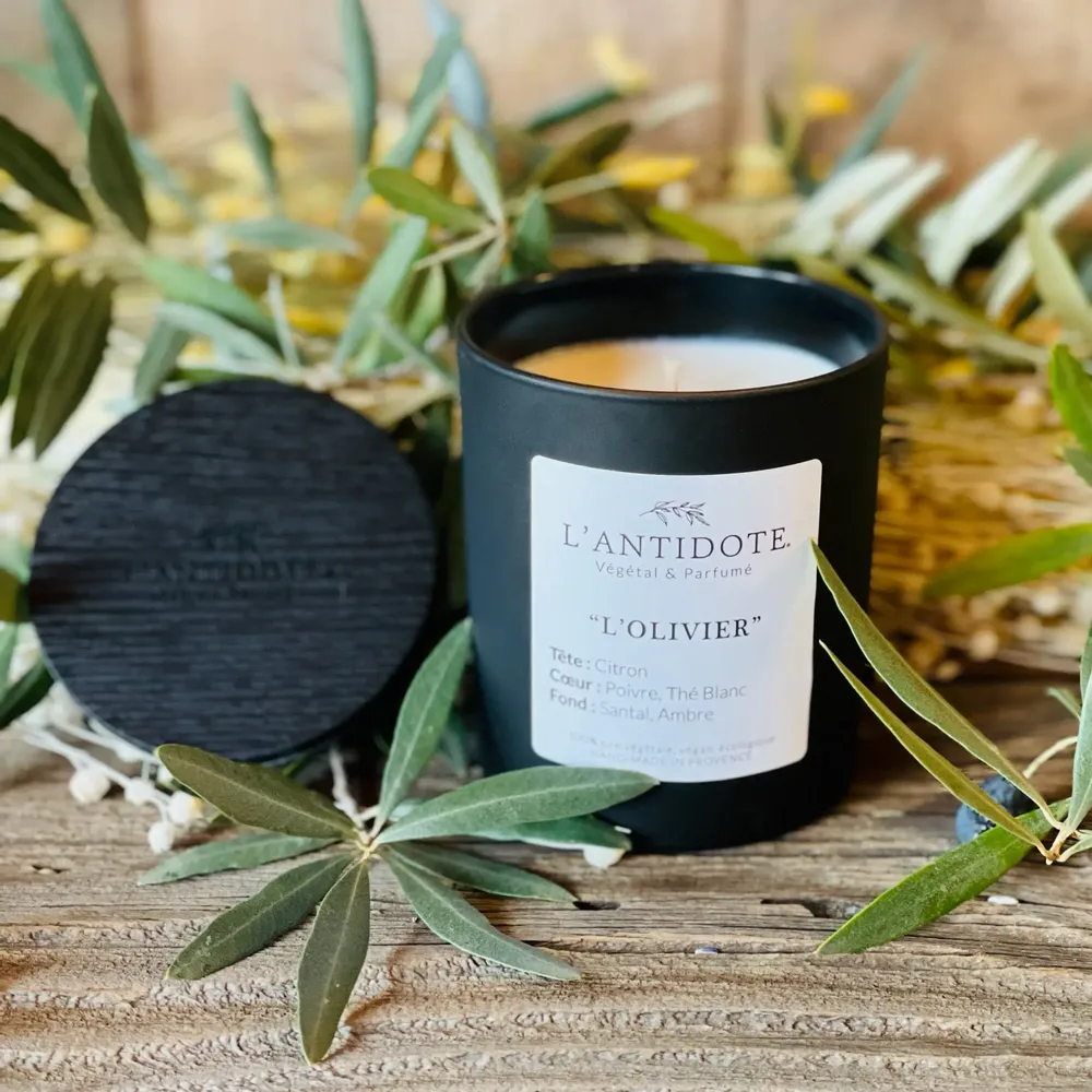 Candles - THE OLIVIER - L'ANTIDOTE