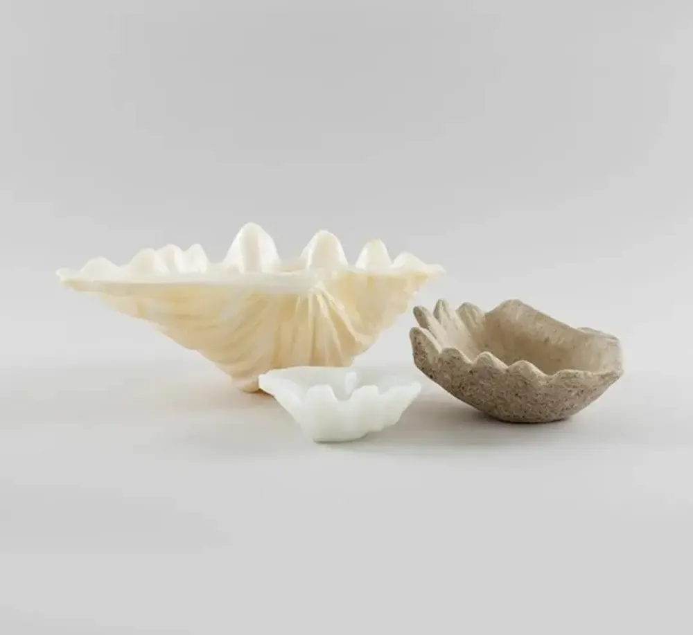 Objets de décoration - Clam Shell - NATURE'S LEGACY