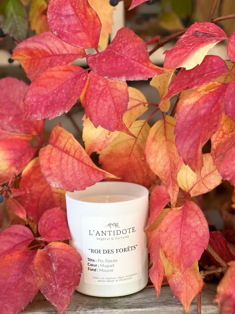 Candles - CANDLE - KING OF THE FORESTS - L'ANTIDOTE