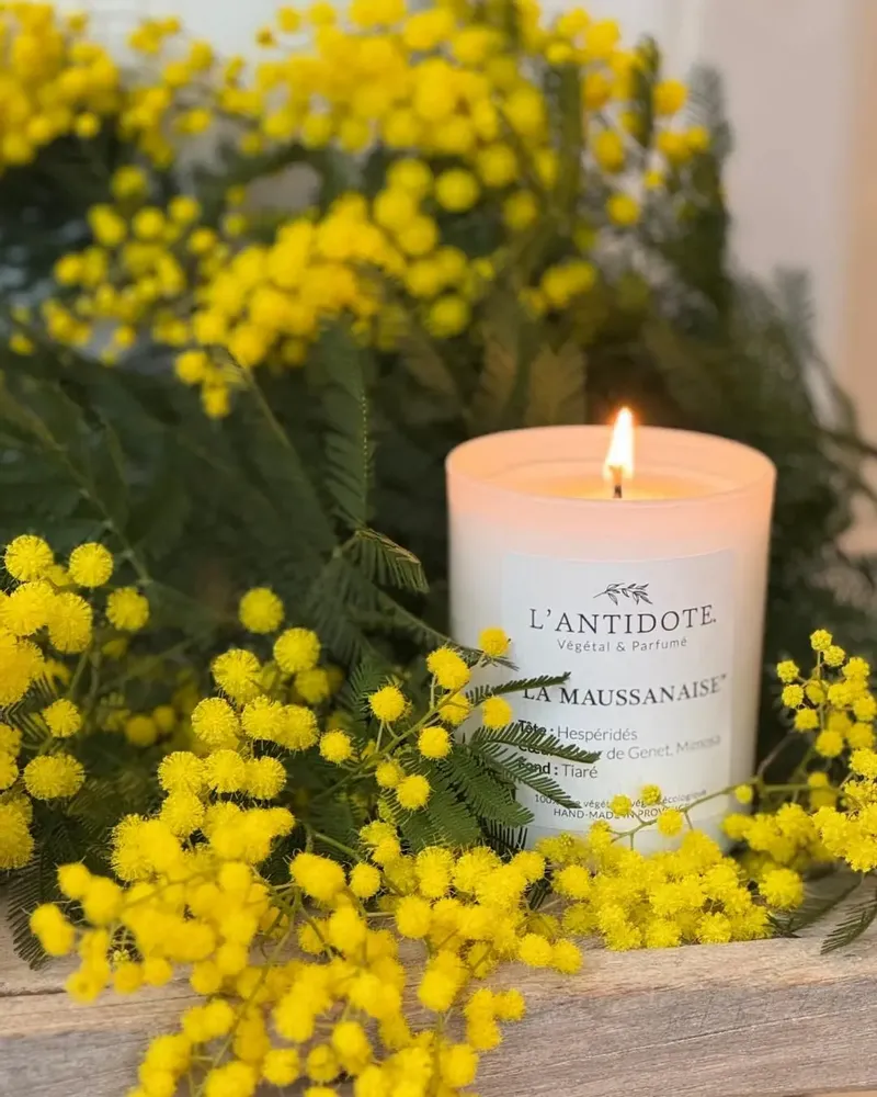 Candles - CANDLE - LA MAUSSANAISE - L'ANTIDOTE