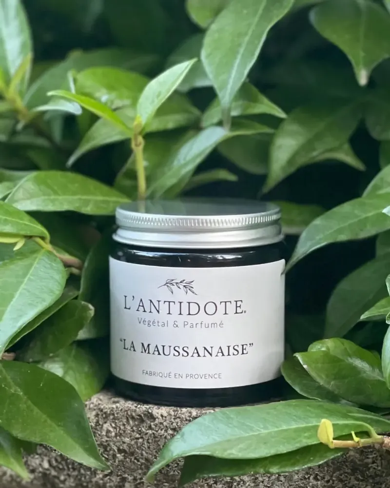 Candles - CANDLE - LA MAUSSANAISE - L'ANTIDOTE