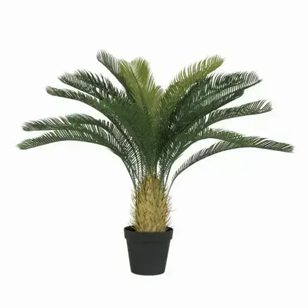 Floral decoration - Artificial cycas, 24 fronds, black plastic pot - LIGNE DÉCO
