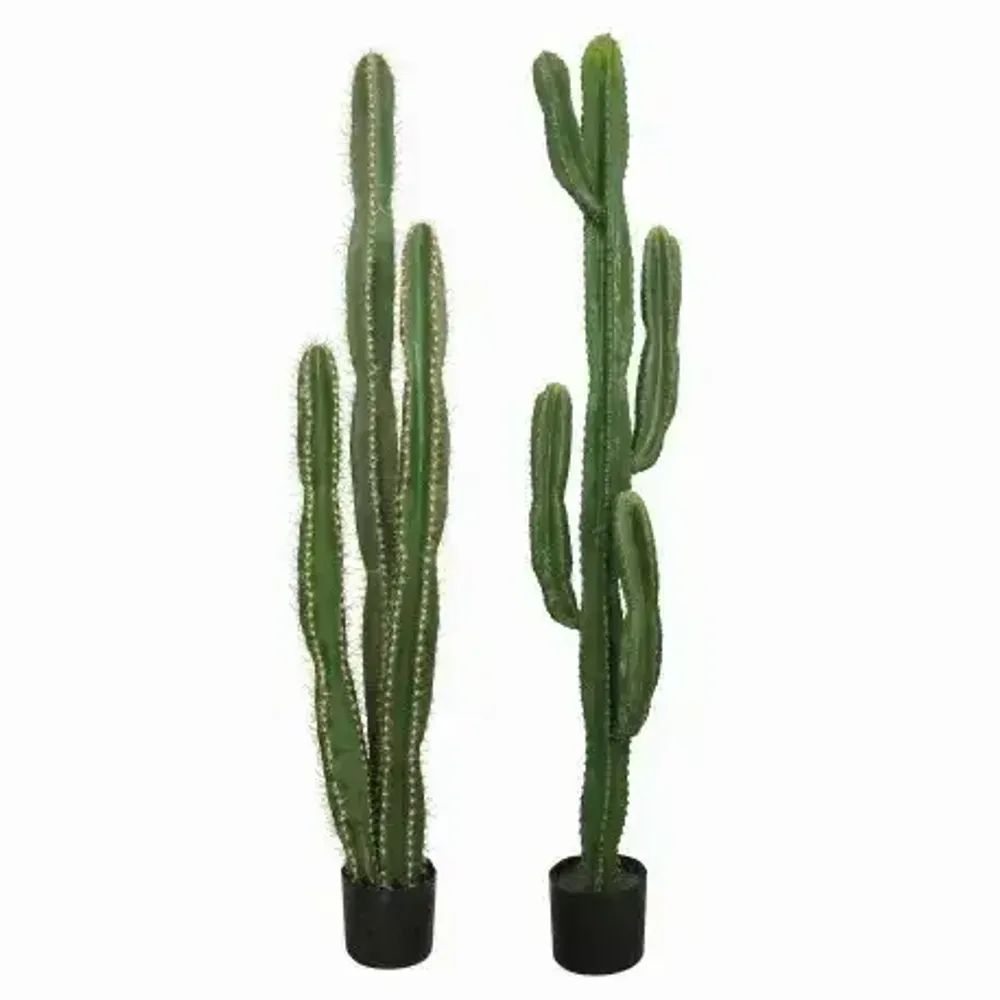 Floral decoration - Artificial cactus, black plastic pot - 2 models - LIGNE DÉCO
