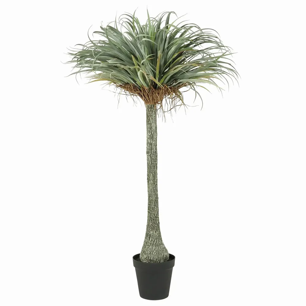 Floral decoration - Artificial yucca, real touch, black plastic pot - LIGNE DÉCO