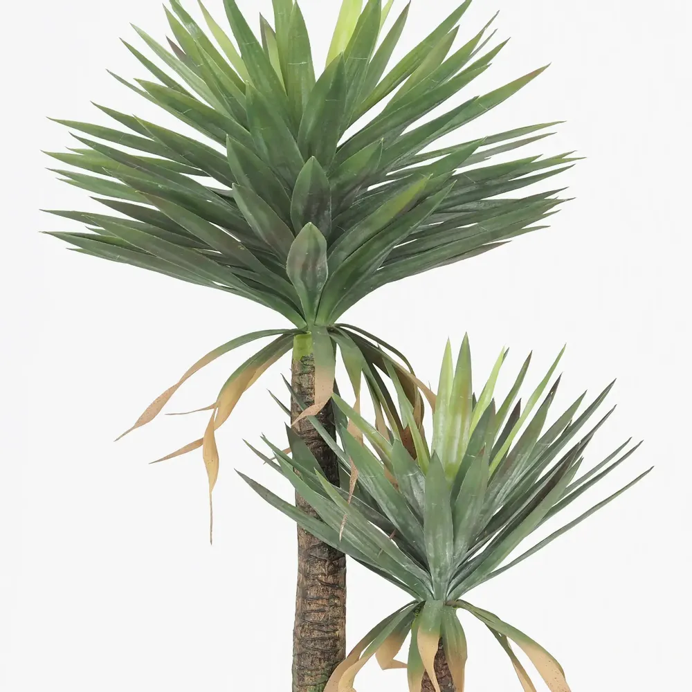 Floral decoration - Artificial yucca, 2 trunks, plastic pot - LIGNE DÉCO