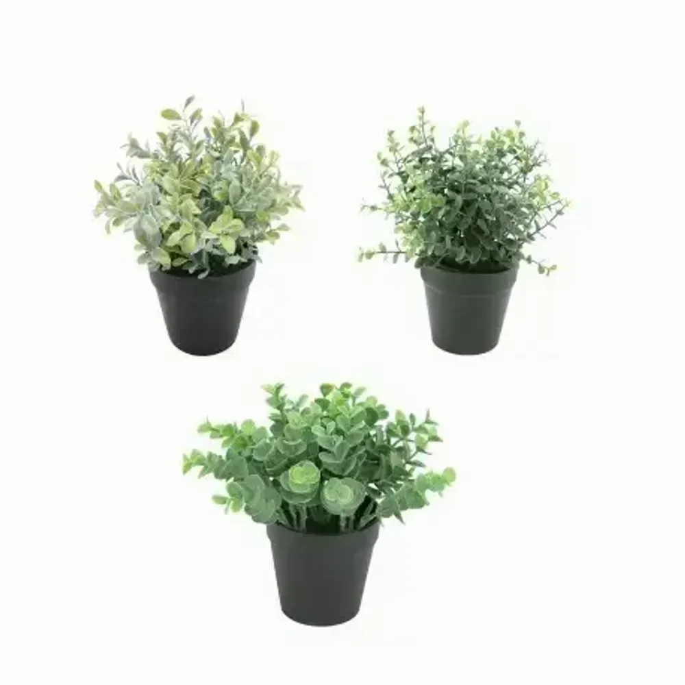 Floral decoration - Assorted Artificial Potted Foliage - LIGNE DÉCO