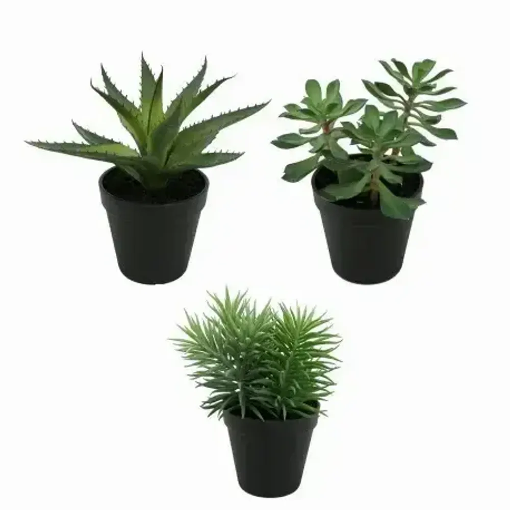 Floral decoration - Assorted Artificial Potted Succulents - LIGNE DÉCO