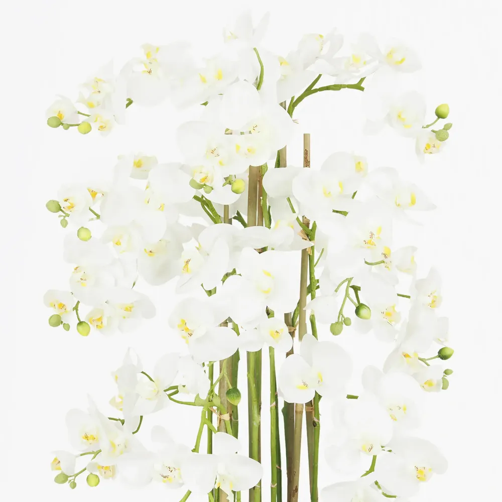 Floral decoration - Artificial Orchid in Ceramic Pot - LIGNE DÉCO