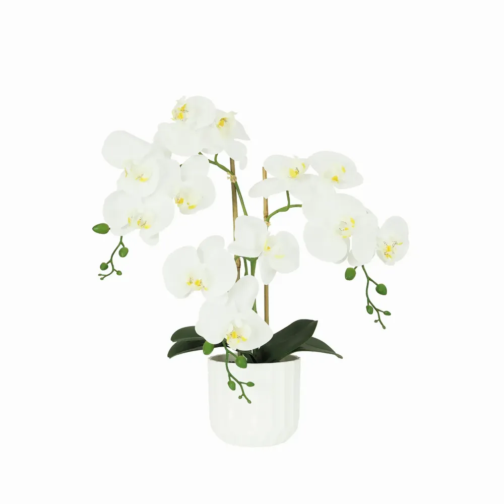 Floral decoration - “Real Touch” Orchid in White Pot - LIGNE DÉCO