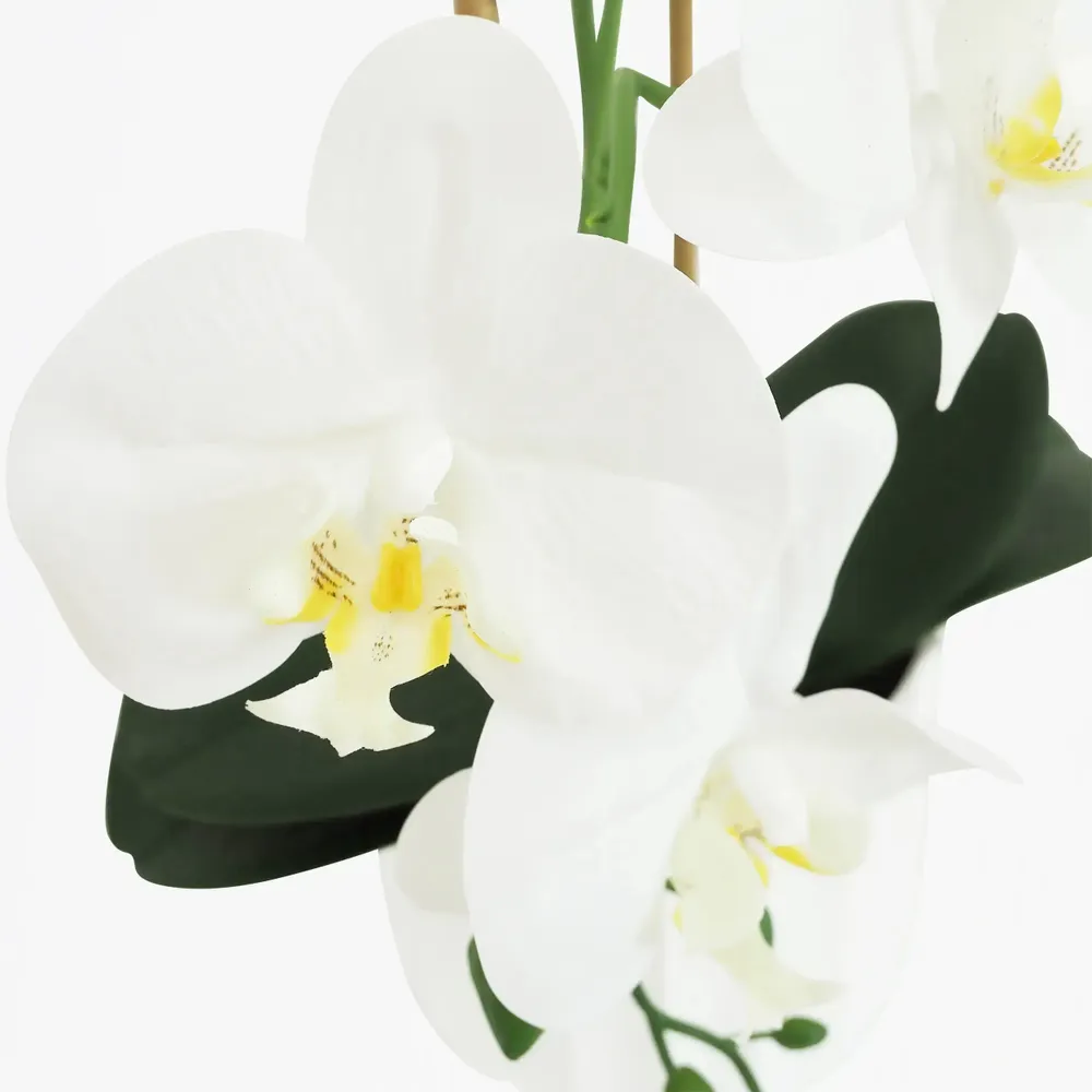 Floral decoration - “Real Touch” Orchid in White Pot - LIGNE DÉCO