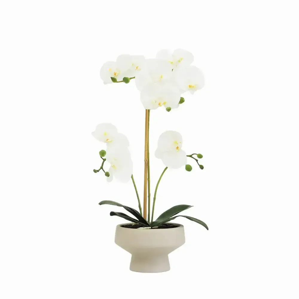 Floral decoration - “Real Touch” Orchid in Ceramic Pot - LIGNE DÉCO
