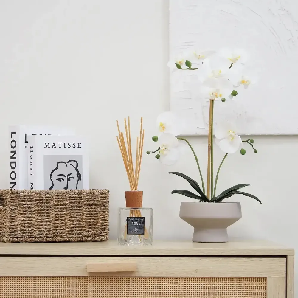 Floral decoration - “Real Touch” Orchid in Ceramic Pot - LIGNE DÉCO