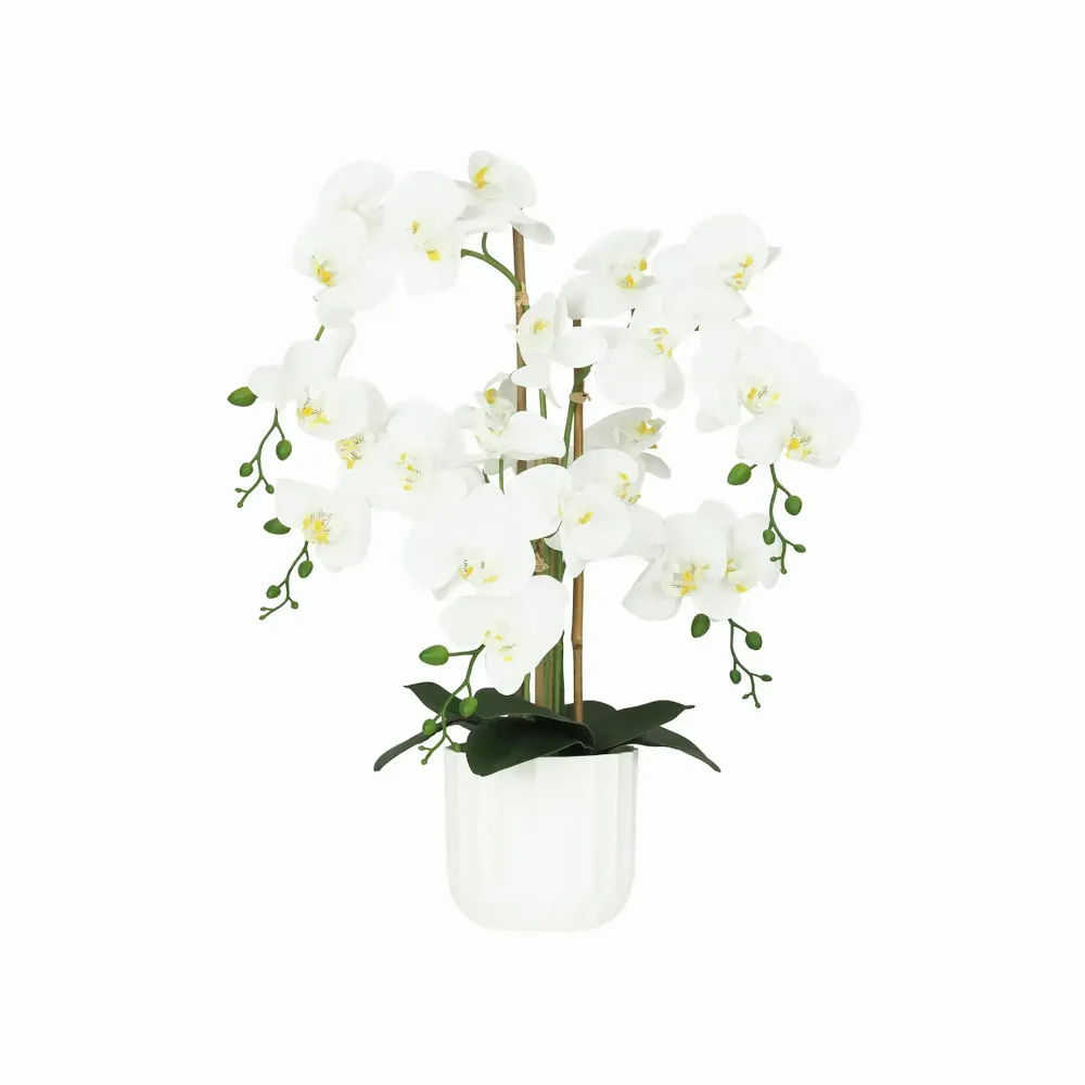 Floral decoration - “Real Touch” Orchid in White Pot - LIGNE DÉCO