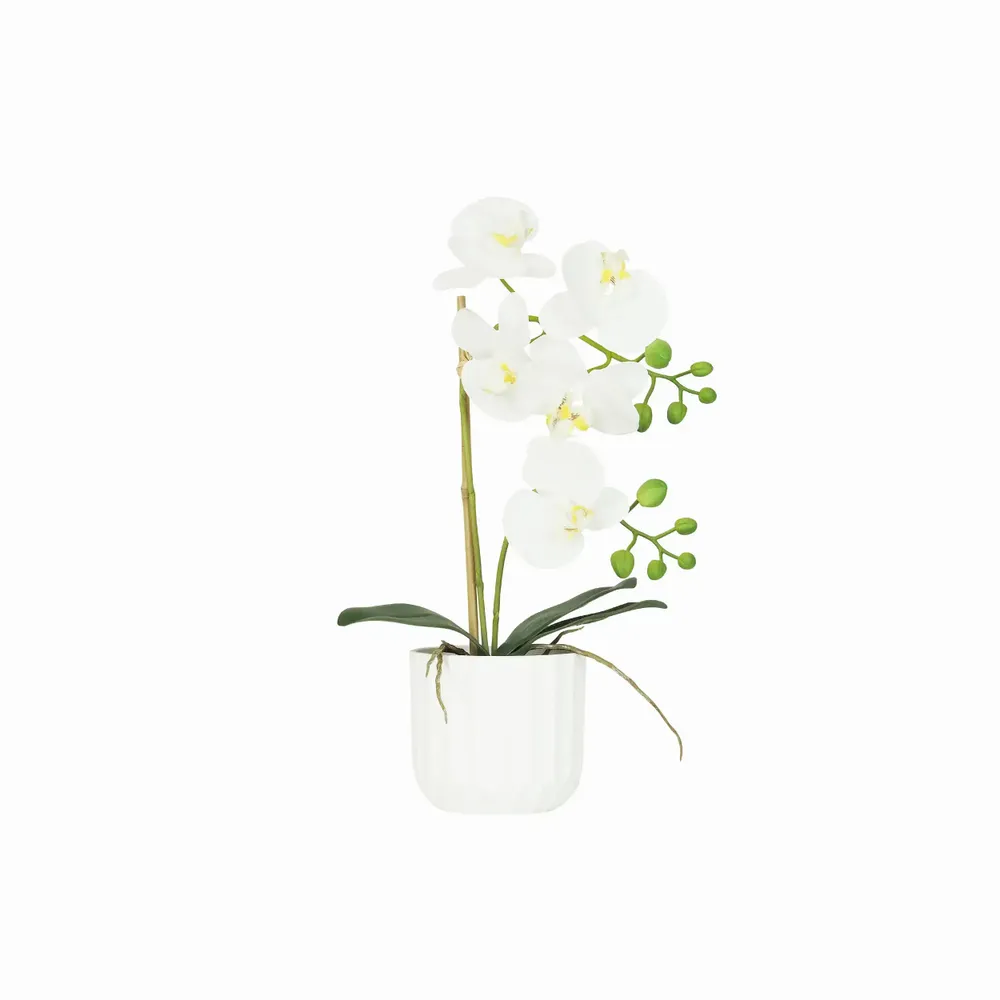 Floral decoration - “Real Touch” Orchid in White Pot - LIGNE DÉCO