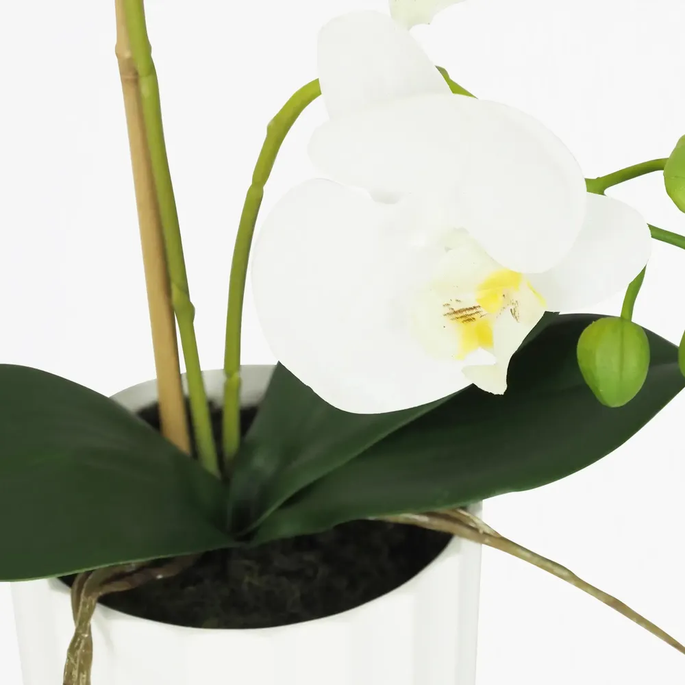 Floral decoration - “Real Touch” Orchid in White Pot - LIGNE DÉCO