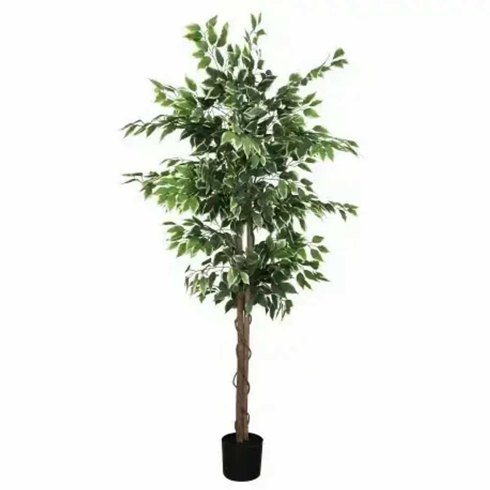 Floral decoration - Artificial ficus, black pot - LIGNE DÉCO