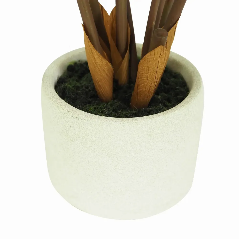 Floral decoration - Artificial Zamioculcas in Cement Pot - LIGNE DÉCO