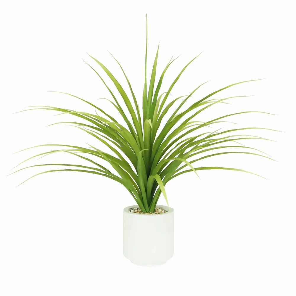 Floral decoration - Artificial Dracaena in White Pot - LIGNE DÉCO
