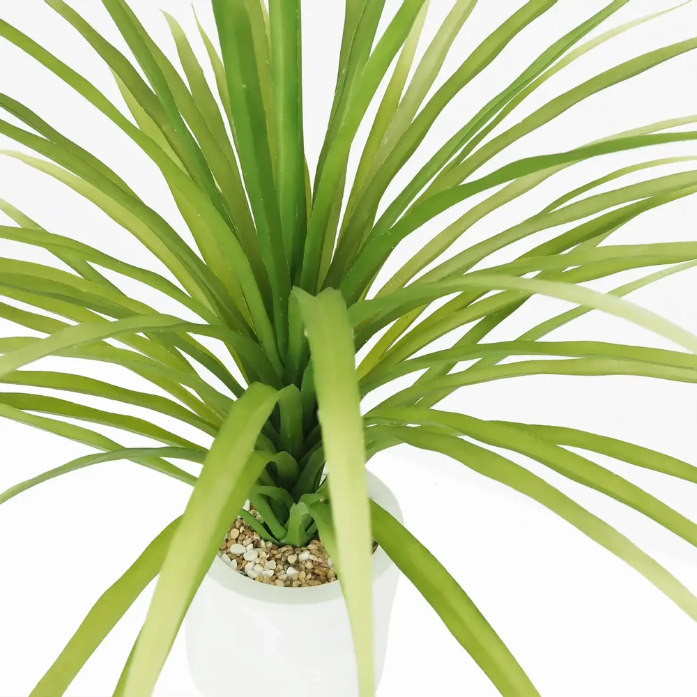 Floral decoration - Artificial Dracaena in White Pot - LIGNE DÉCO