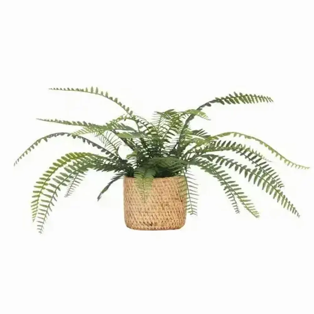 Floral decoration - Artificial Fern in Cane-Effect Cement Pot - LIGNE DÉCO