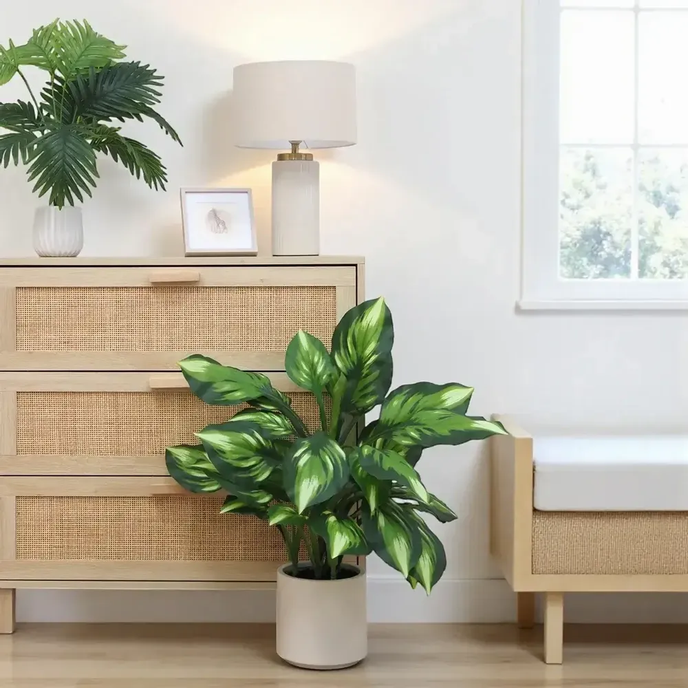 Floral decoration - Artificial Dieffenbachia Camilla in White Pot - LIGNE DÉCO