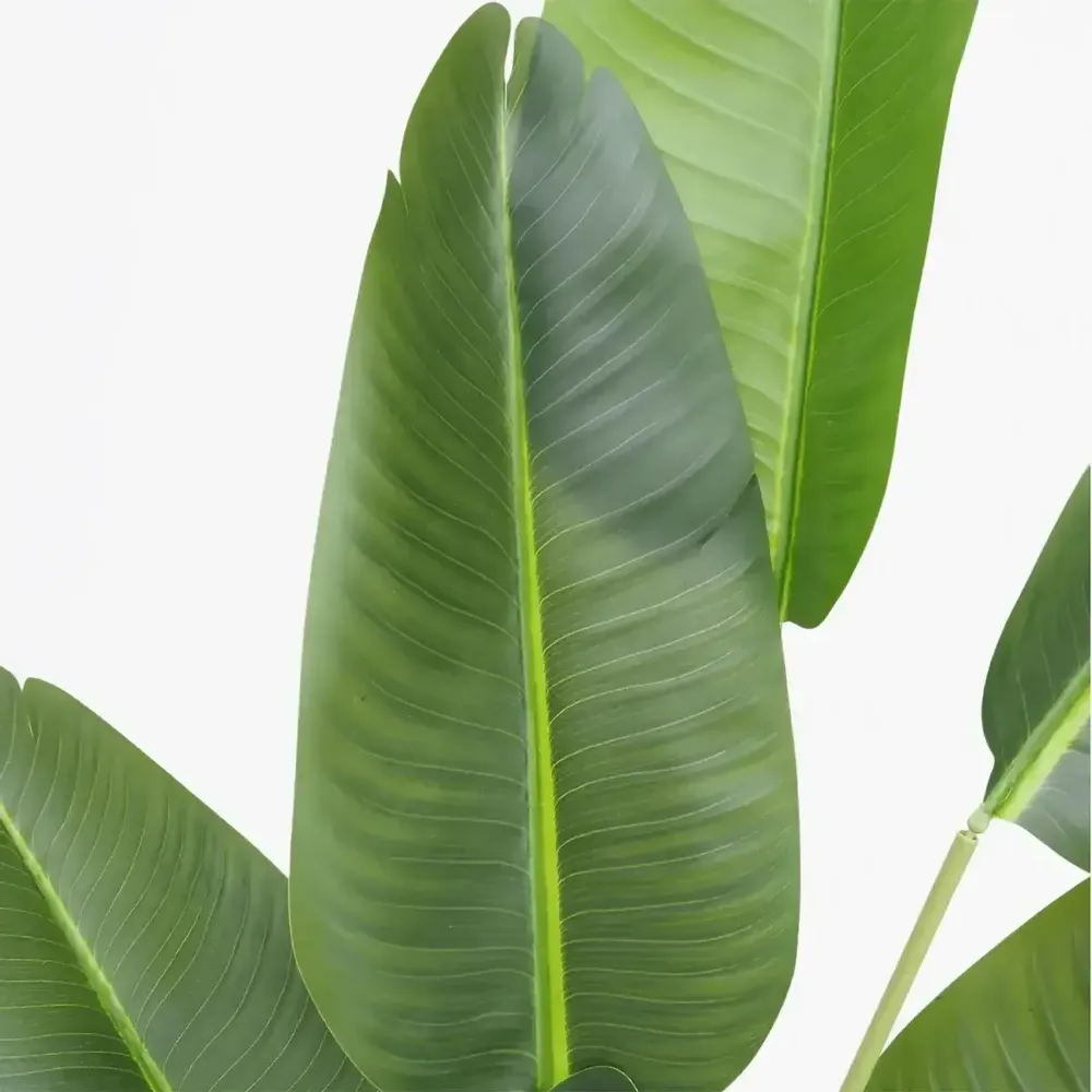 Floral decoration - Artificial Bird of Paradise, 10 leaves, black plastic pot - LIGNE DÉCO