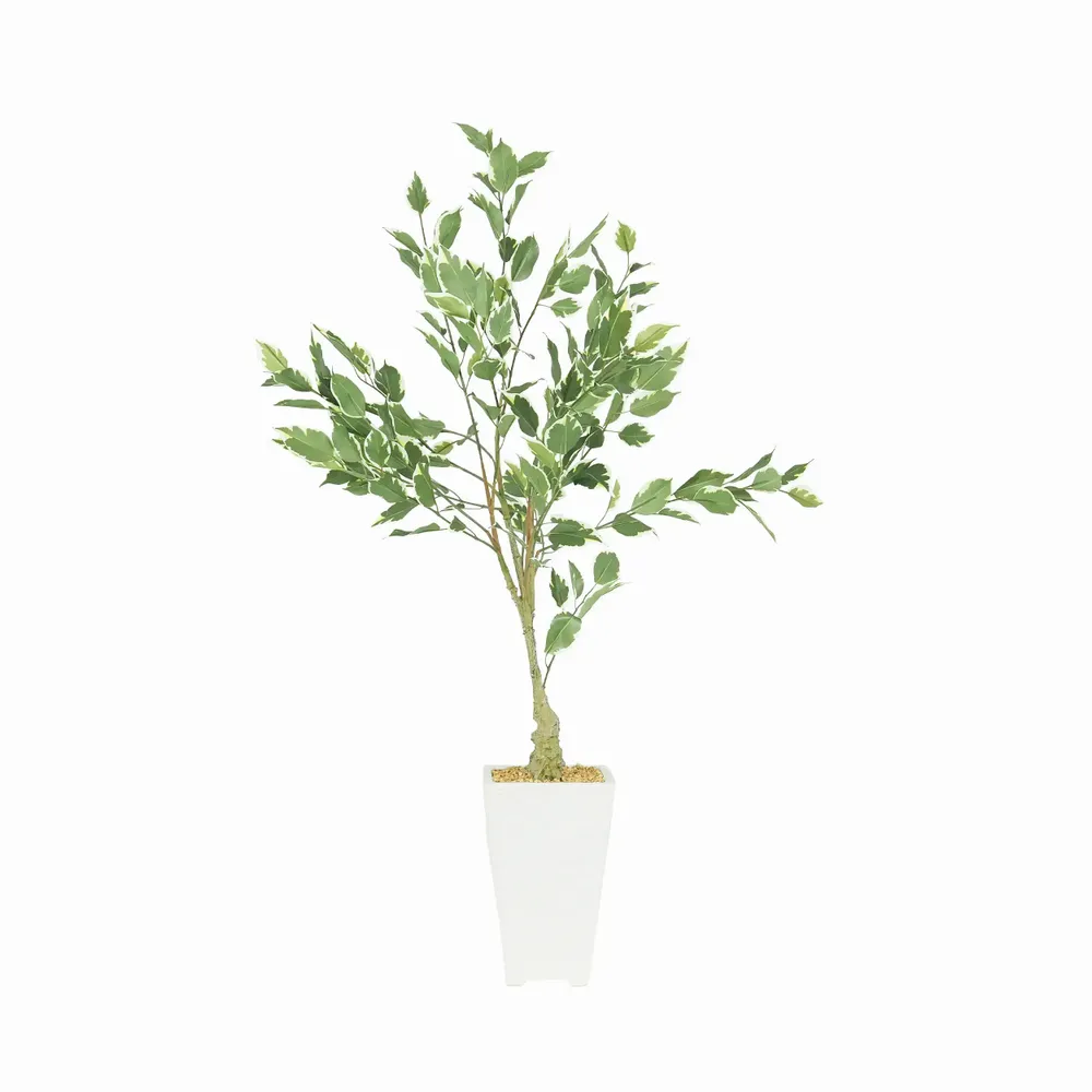 Floral decoration - Artificial ficus, matte white ceramic pot - LIGNE DÉCO