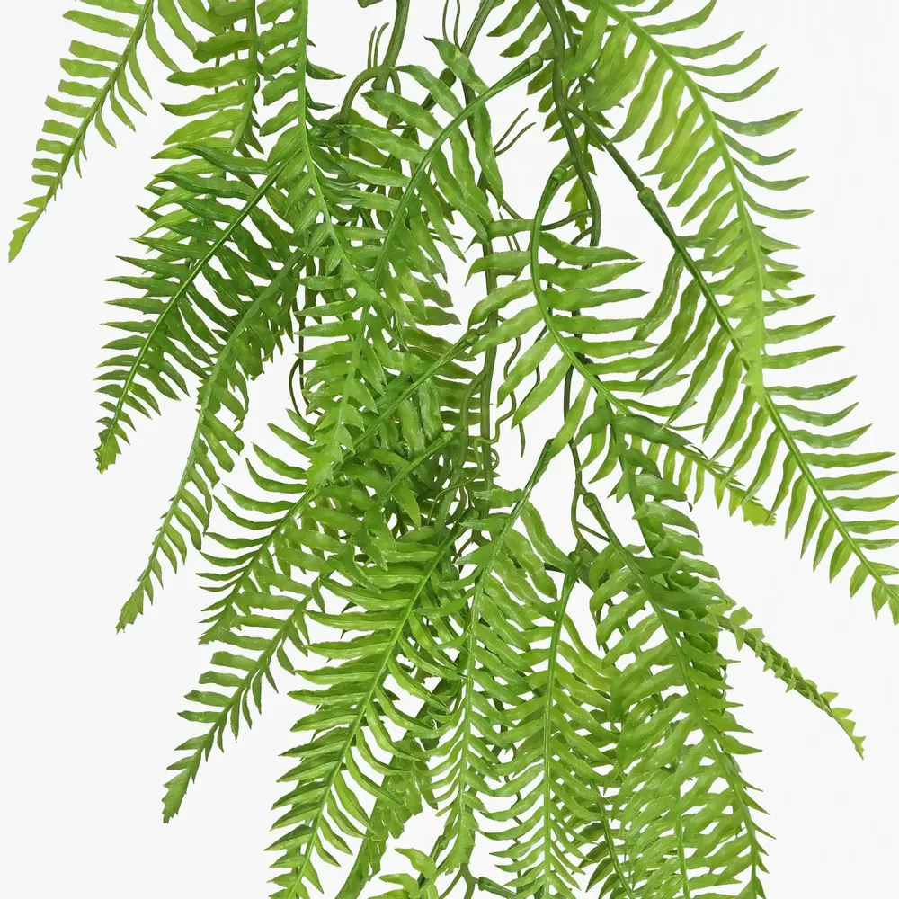 Floral decoration - Artificial fern trail - LIGNE DÉCO