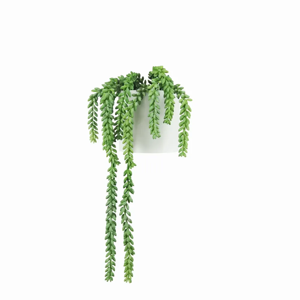 Floral decoration - Artificial Trailing Succulent in Pot - LIGNE DÉCO