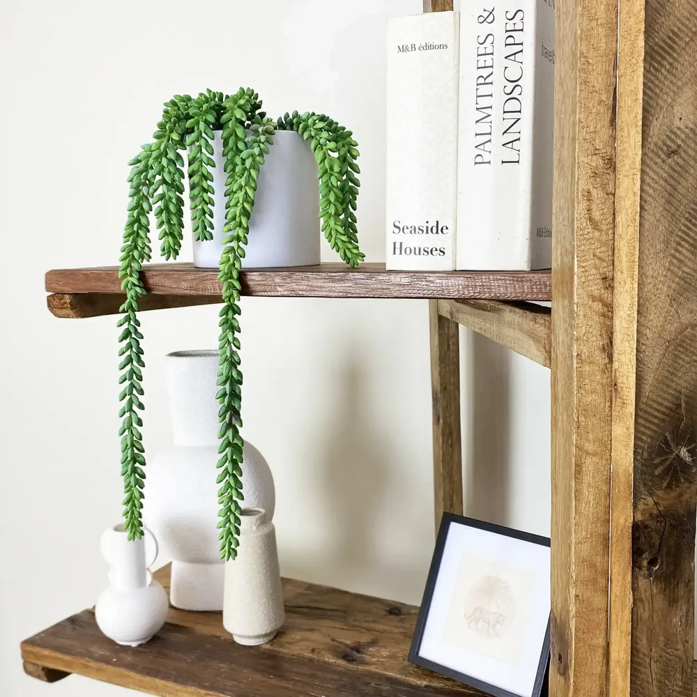 Floral decoration - Artificial Trailing Succulent in Pot - LIGNE DÉCO