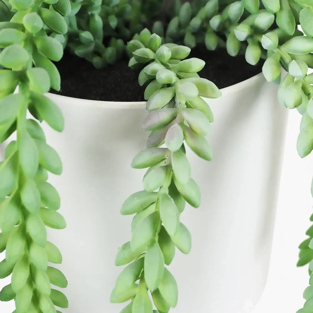 Floral decoration - Artificial Trailing Succulent in Pot - LIGNE DÉCO