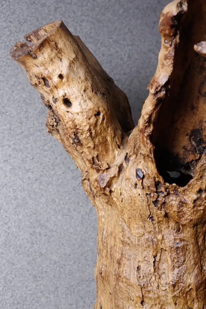 Consoles - WILDWOOD - ML ATELIERS