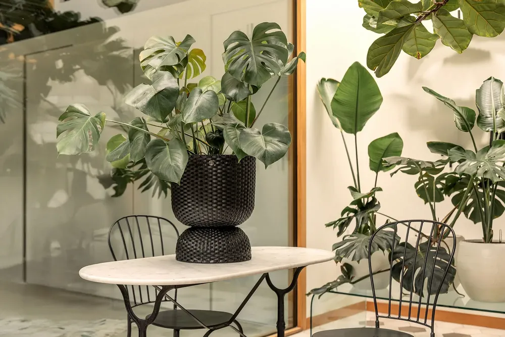 Pottery - TWIST - plant basket - HANDED BY