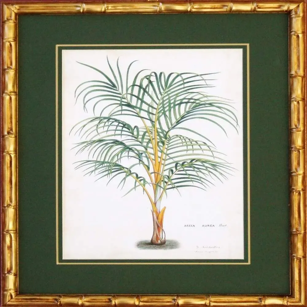 Frames - TROPICAL PALMS - SERAFINI FRAMES DI G. GIULIANI