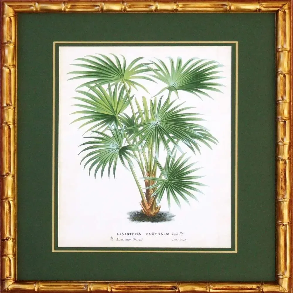 Frames - TROPICAL PALMS - SERAFINI FRAMES DI G. GIULIANI