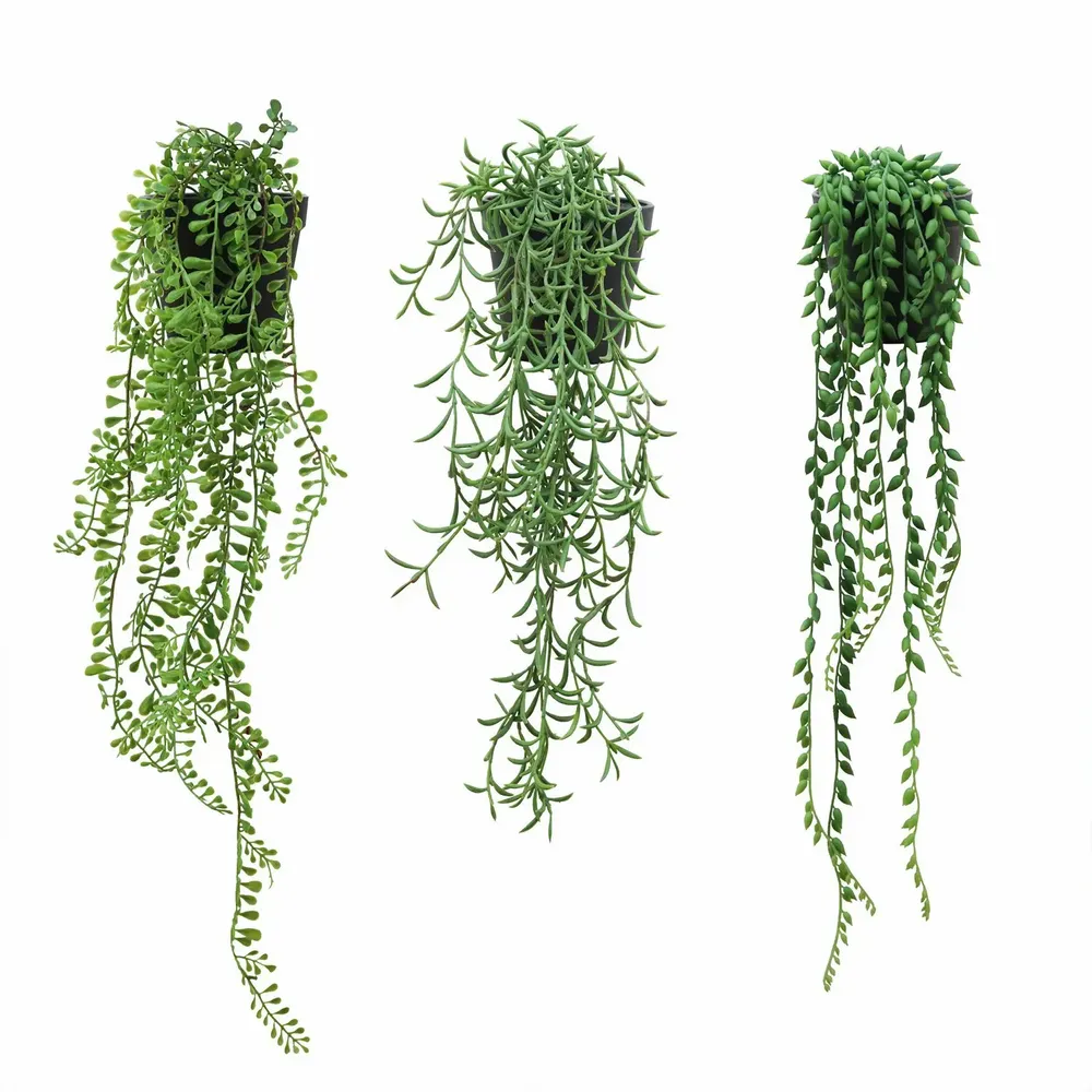 Décorations florales - Succulentes retombantes artificielles en pot (assortis) - LIGNE DÉCO