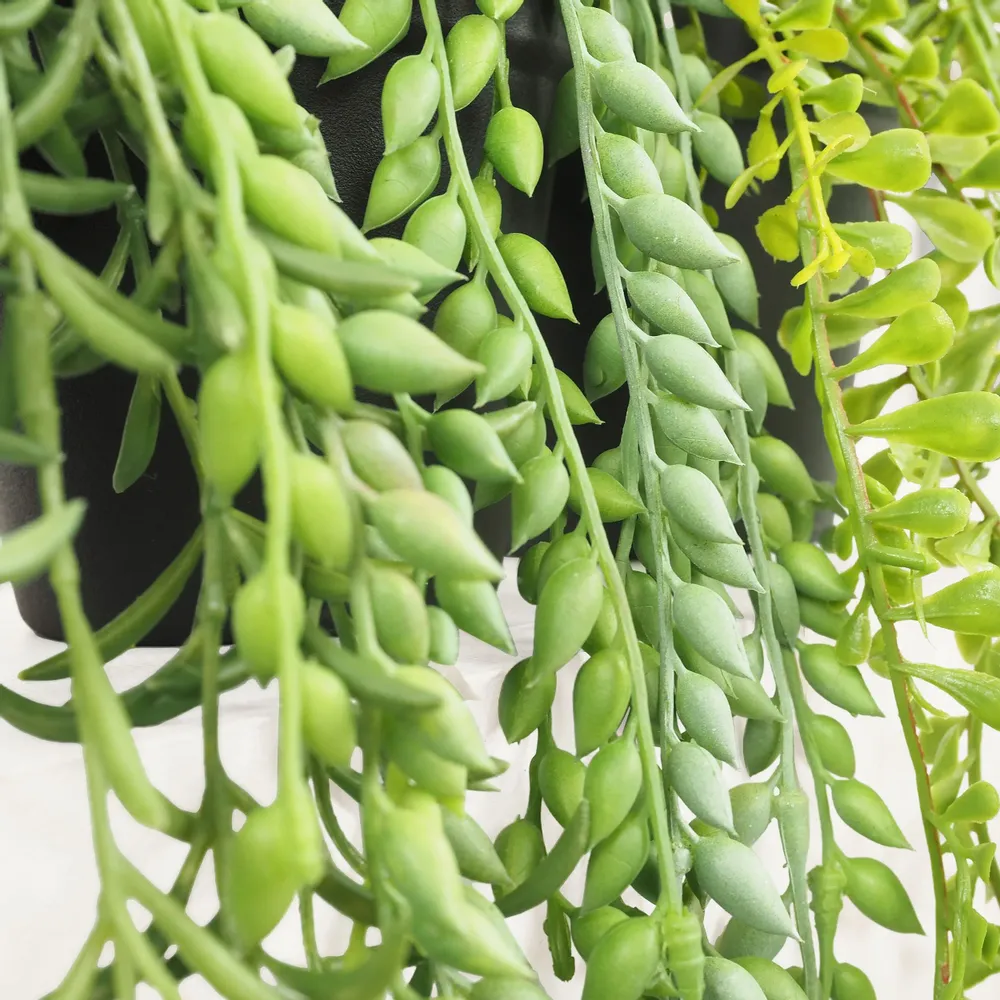 Décorations florales - Succulentes retombantes artificielles en pot (assortis) - LIGNE DÉCO