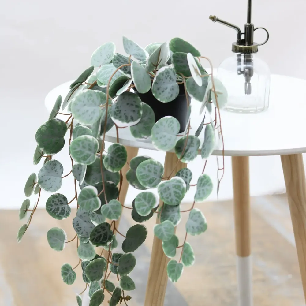 Décorations florales - Eucalyptus retombant artificiel en pot - LIGNE DÉCO