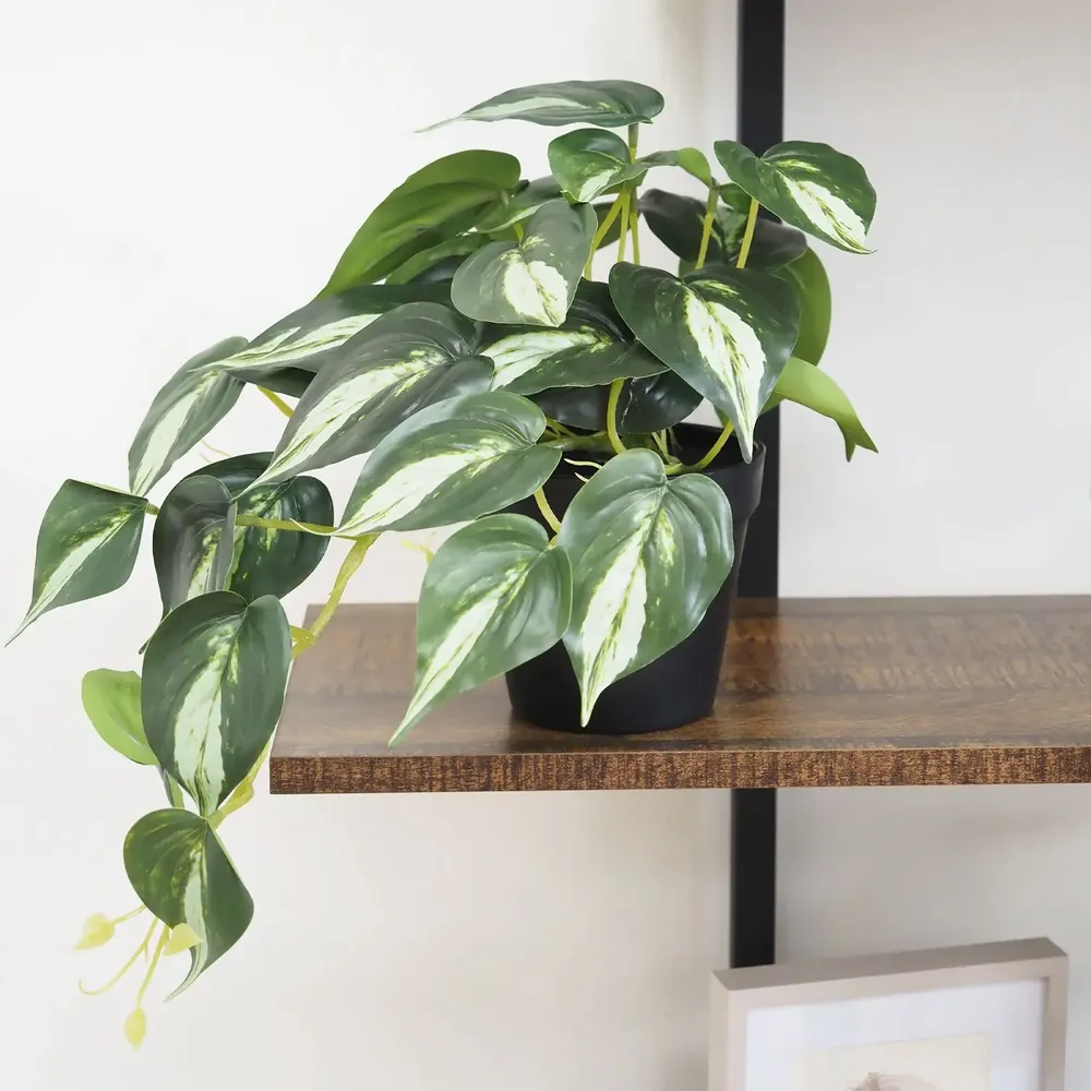 Floral decoration - Artificial Trailing Pothos in Pot - LIGNE DÉCO