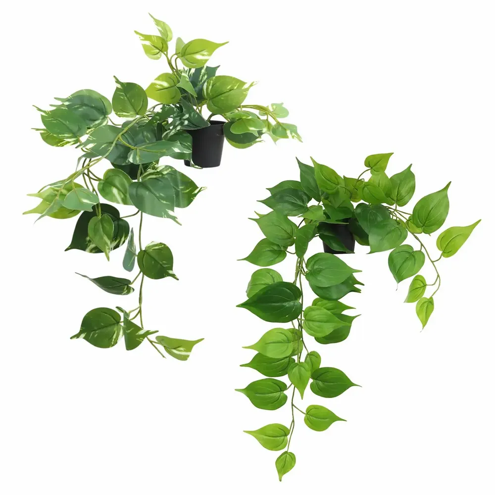Décorations florales - Pothos retombant “toucher naturel” (assortis) - LIGNE DÉCO