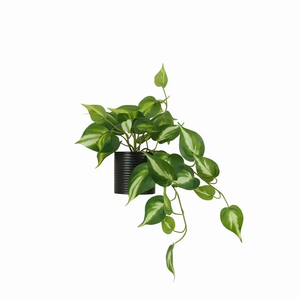 Décorations florales - Pothos retombant artificiel “toucher naturel” – Pot céramique - LIGNE DÉCO