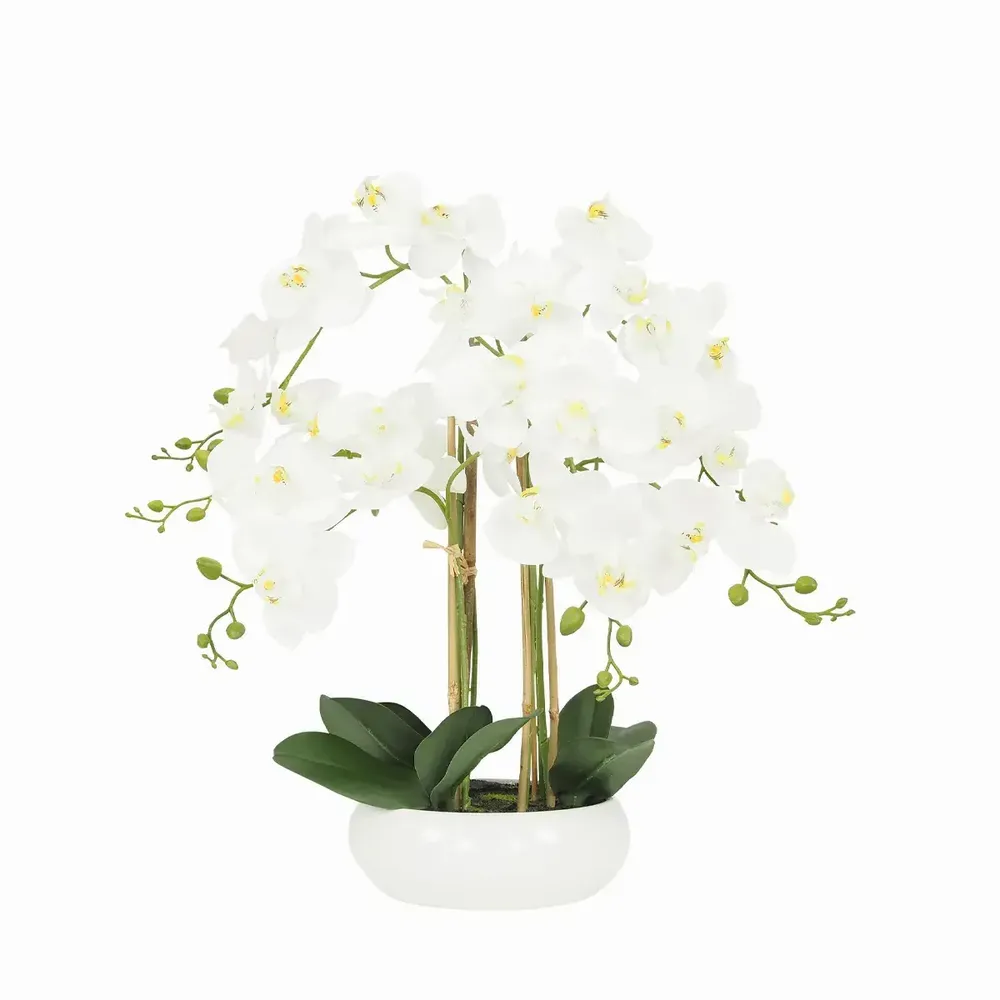 Floral decoration - “Real Touch” Orchid in Ceramic Bowl - LIGNE DÉCO