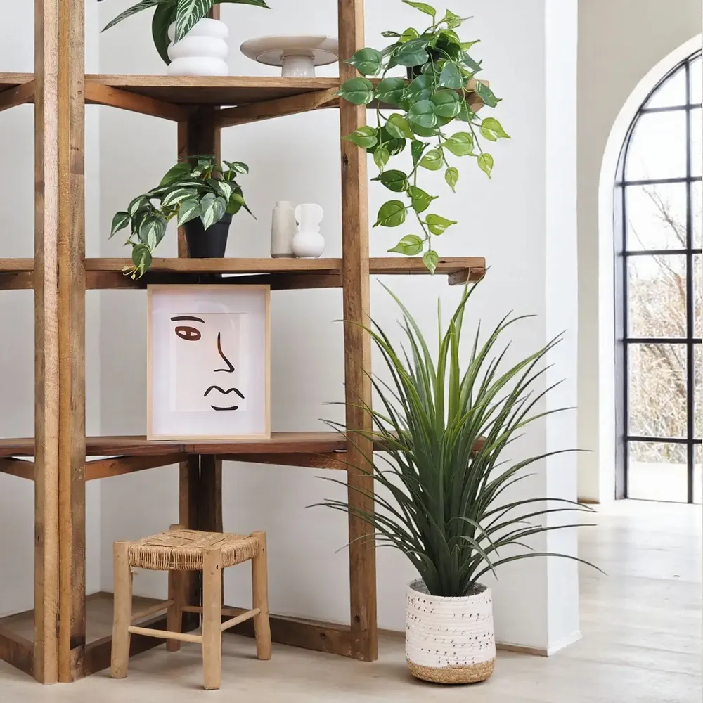 Floral decoration - Artificial Yucca in Black Pot - LIGNE DÉCO