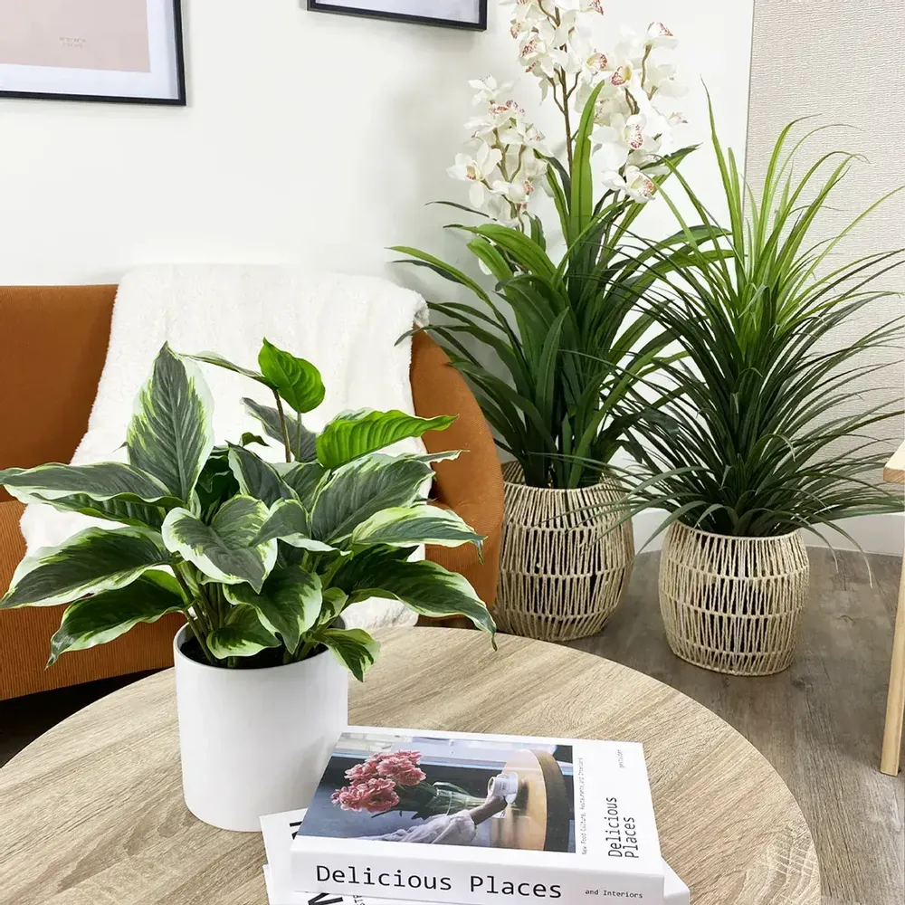 Décorations florales - Dieffenbachia artificiel en pot blanc - LIGNE DÉCO