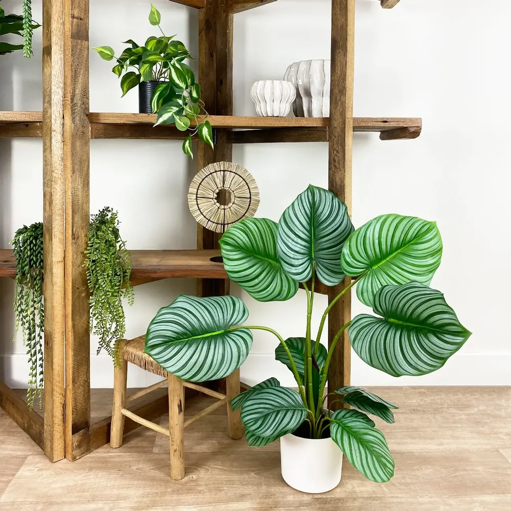 Floral decoration - “Real Touch” Artificial Calathea - LIGNE DÉCO