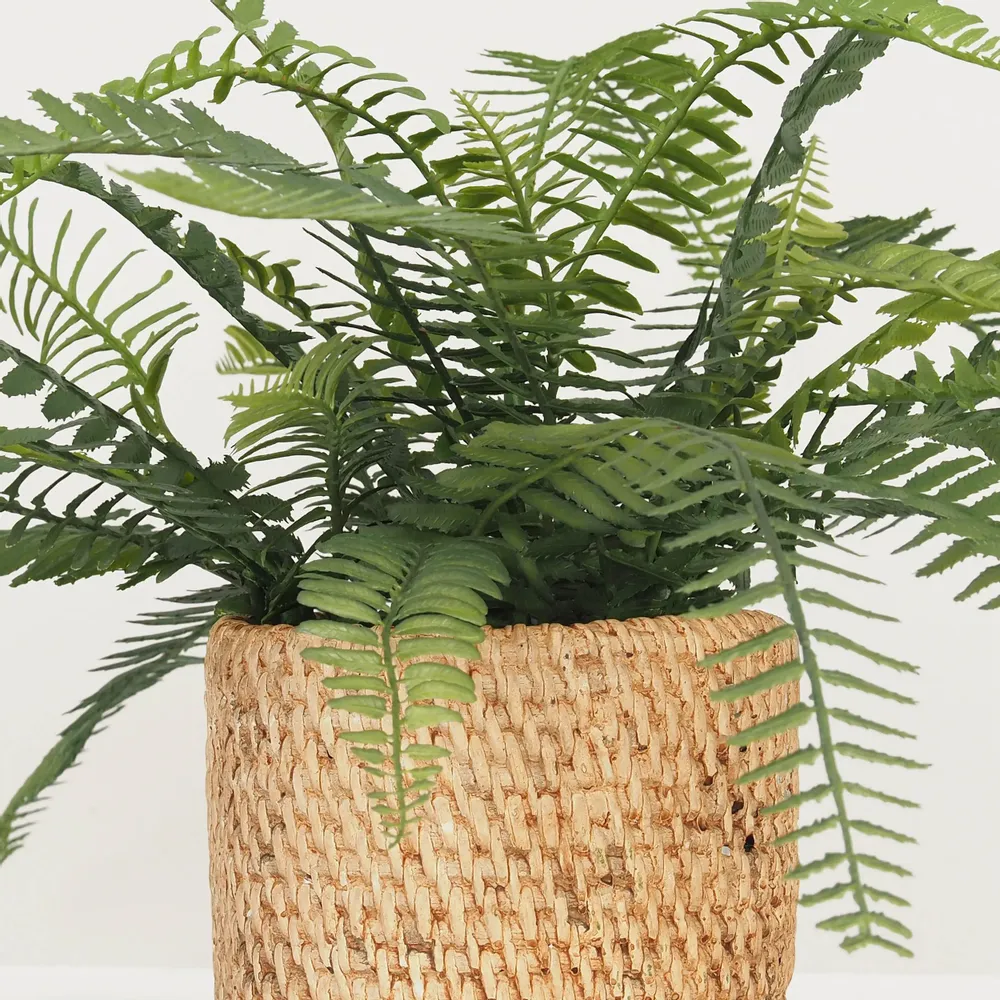 Décorations florales - Fougère artificielle en pot ciment cannage - LIGNE DÉCO