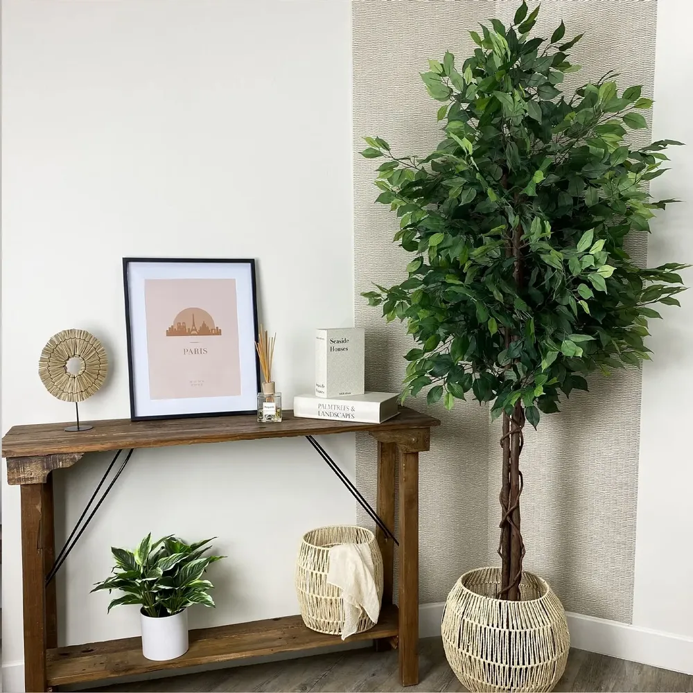 Floral decoration - Artificial ficus, black plastic pot - LIGNE DÉCO